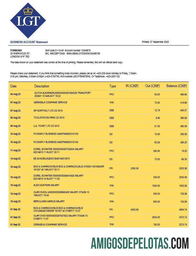 Realista LGT Bank Organization Checking modelo de extrato de conta Word e PDF